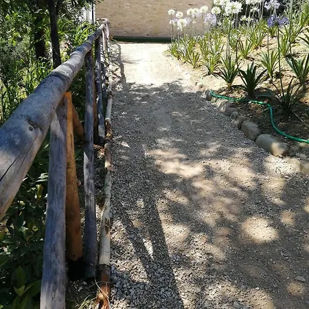 Il Gelso Bed & Breakfast