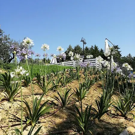 Il Gelso Bed & Breakfast *