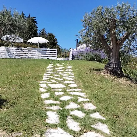 Il Gelso *