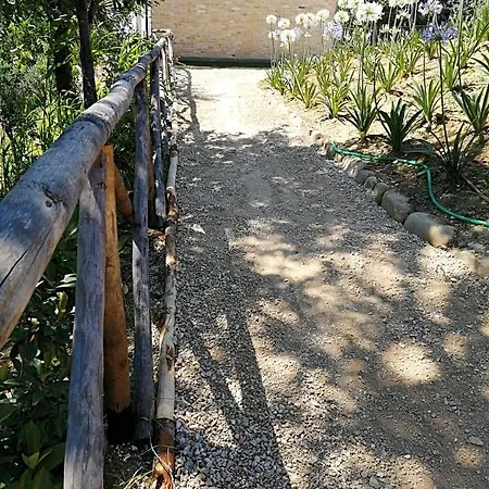 Il Gelso