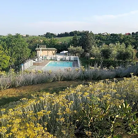 Il Gelso