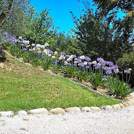 Nocleg ze śniadaniem Il Gelso Castorano (Ascoli Piceno)